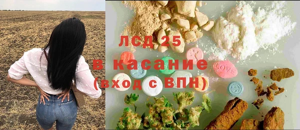 PSILOCYBIN Алзамай