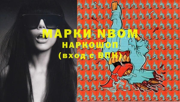 PSILOCYBIN Алзамай