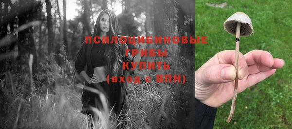 PSILOCYBIN Алзамай