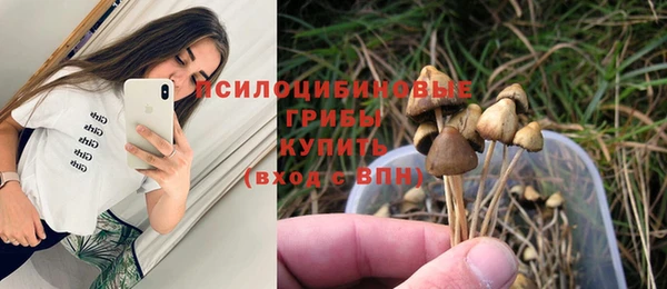 герыч Алексеевка