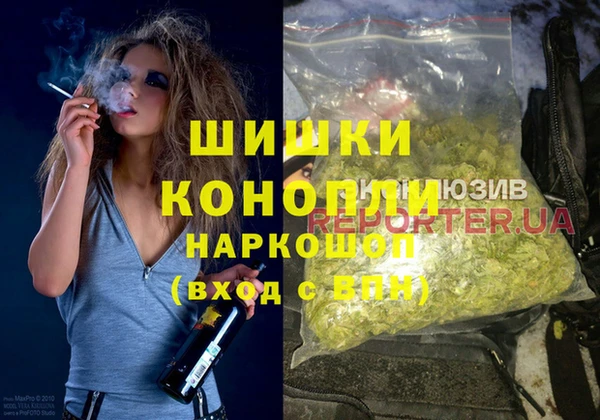 ешки Алексин