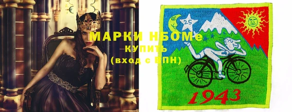 PSILOCYBIN Алзамай